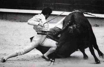 TORO BRAVO FRENTE ORTEGA CANO